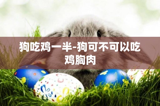 狗吃雞一半-狗可不可以吃雞胸肉