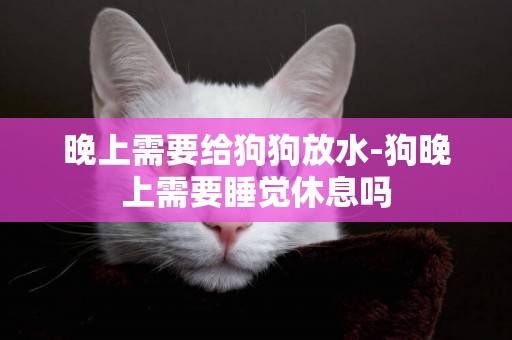 晚上需要給狗狗放水-狗晚上需要睡覺休息嗎