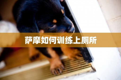 薩摩如何訓練上廁所