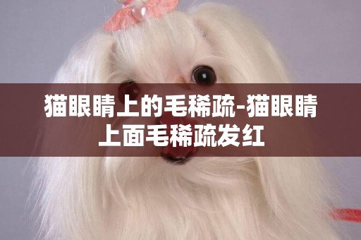 貓眼睛上的毛稀疏-貓眼睛上面毛稀疏發紅