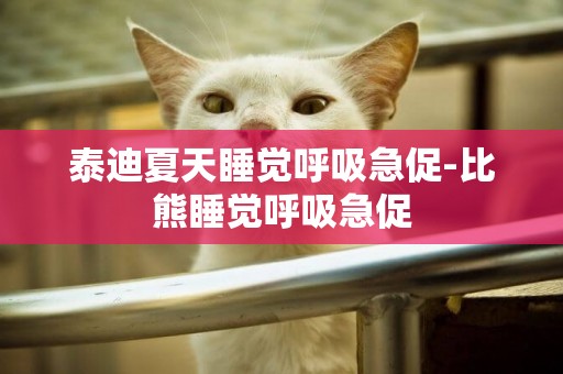 泰迪夏天睡覺呼吸急促-比熊睡覺呼吸急促