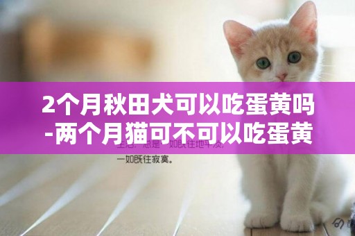 2個月秋田犬可以吃蛋黃嗎-兩個月貓可不可以吃蛋黃