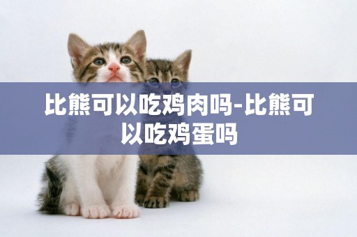 比熊可以吃雞肉嗎-比熊可以吃雞蛋嗎