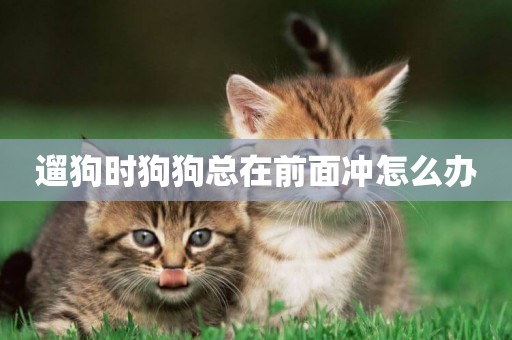 遛狗時狗狗總在前面沖怎么辦