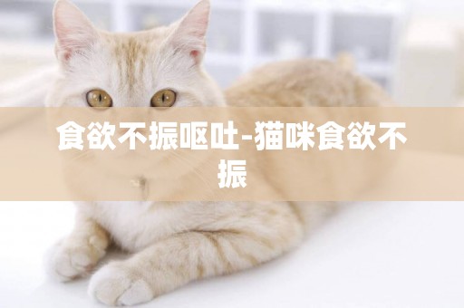 食欲不振嘔吐-貓咪食欲不振