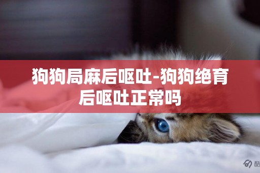 狗狗局麻后嘔吐-狗狗絕育后嘔吐正常嗎