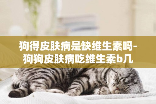 狗得皮膚病是缺維生素嗎-狗狗皮膚病吃維生素b幾