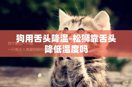 狗用舌頭降溫-松獅靠舌頭降低溫度嗎