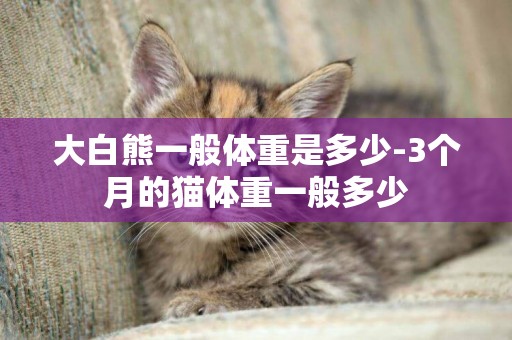 大白熊一般體重是多少-3個月的貓體重一般多少