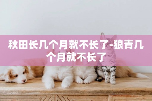 秋田長幾個月就不長了-狼青幾個月就不長了