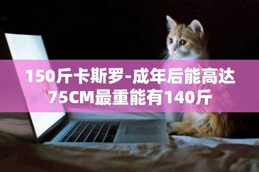 150斤卡斯羅-成年后能高達75CM最重能有140斤