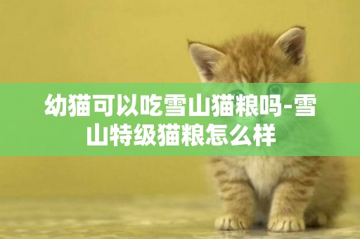 幼貓可以吃雪山貓糧嗎-雪山特級貓糧怎么樣
