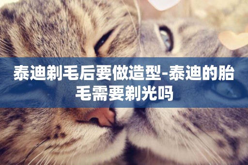 泰迪剃毛后要做造型-泰迪的胎毛需要剃光嗎