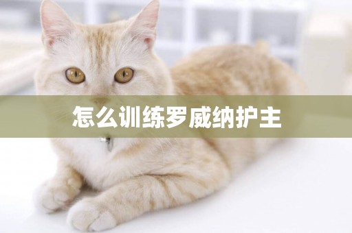 怎么訓練羅威納護主
