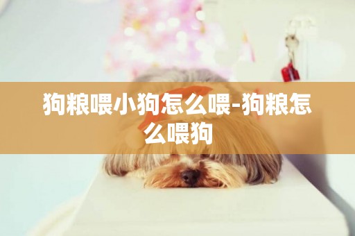 狗糧喂小狗怎么喂-狗糧怎么喂狗