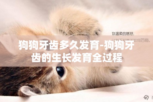 狗狗牙齒多久發育-狗狗牙齒的生長發育全過程