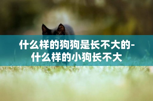 什么樣的狗狗是長不大的-什么樣的小狗長不大