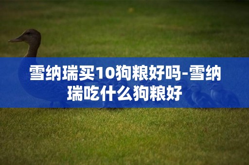 雪納瑞買10狗糧好嗎-雪納瑞吃什么狗糧好