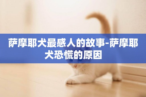 薩摩耶犬最感人的故事-薩摩耶犬恐慌的原因