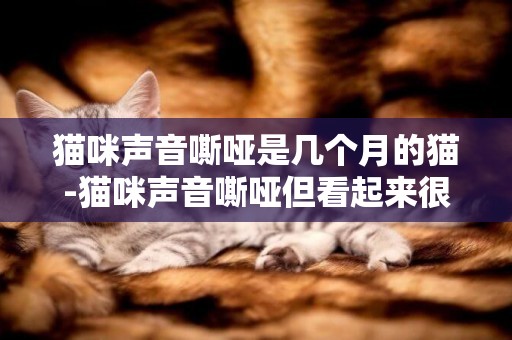 貓咪聲音嘶啞是幾個月的貓-貓咪聲音嘶啞但看起來很健康