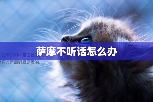 薩摩不聽話怎么辦