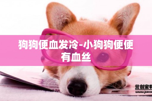 狗狗便血發冷-小狗狗便便有血絲
