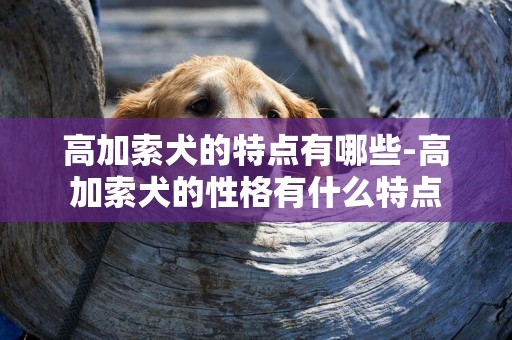 高加索犬的特點有哪些-高加索犬的性格有什么特點