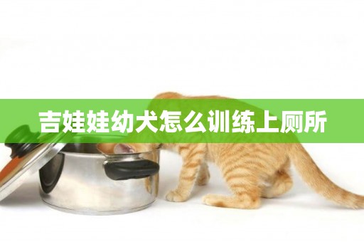 吉娃娃幼犬怎么訓練上廁所