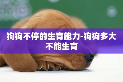 狗狗不停的生育能力-狗狗多大不能生育