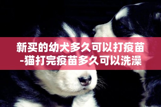 新買的幼犬多久可以打疫苗-貓打完疫苗多久可以洗澡