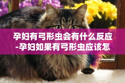 孕婦有弓形蟲會有什么反應-孕婦如果有弓形蟲應該怎么辦