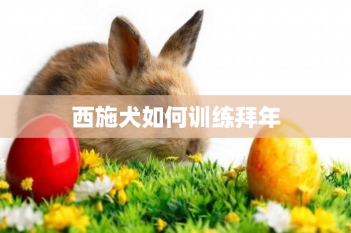 西施犬如何訓練拜年