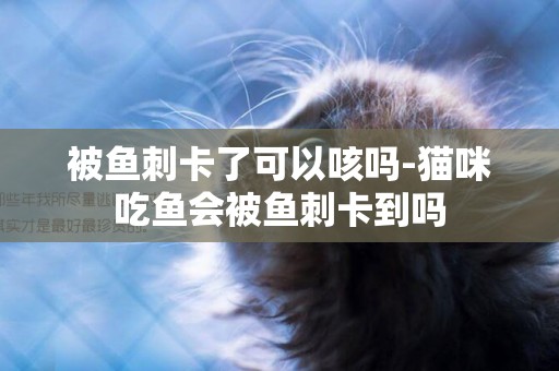被魚刺卡了可以咳嗎-貓咪吃魚會被魚刺卡到嗎