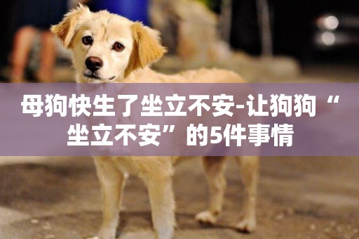 母狗快生了坐立不安-讓狗狗“坐立不安”的5件事情