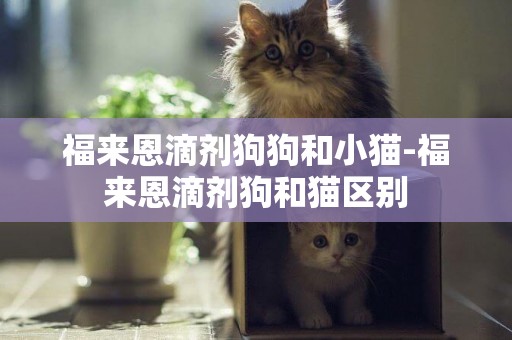 福來恩滴劑狗狗和小貓-福來恩滴劑狗和貓區別