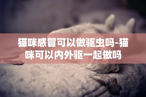 貓咪感冒可以做驅蟲嗎-貓咪可以內外驅一起做嗎