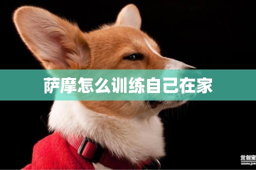 薩摩怎么訓練自己在家