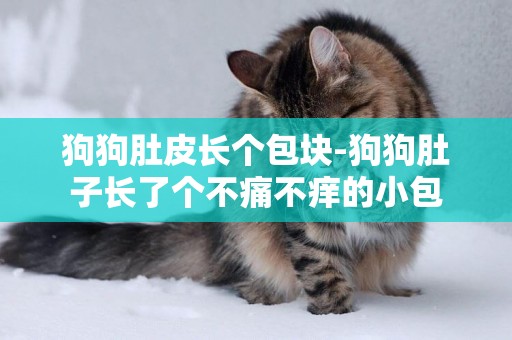 狗狗肚皮長個包塊-狗狗肚子長了個不痛不癢的小包