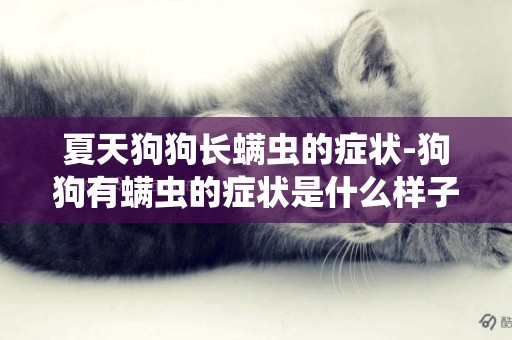 夏天狗狗長螨蟲的癥狀-狗狗有螨蟲的癥狀是什么樣子的