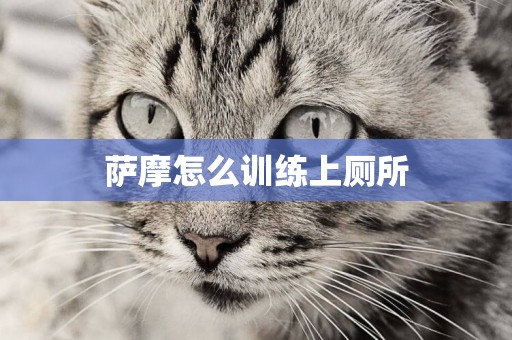 薩摩怎么訓練上廁所