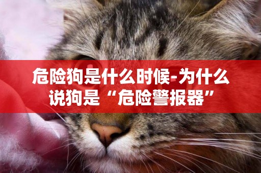 危險狗是什么時候-為什么說狗是“危險警報器”
