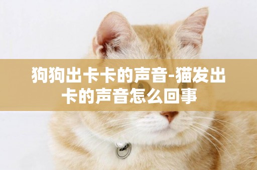 狗狗出卡卡的聲音-貓發出卡的聲音怎么回事