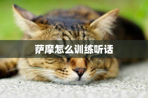 薩摩怎么訓練聽話