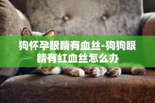 狗懷孕眼睛有血絲-狗狗眼睛有紅血絲怎么辦