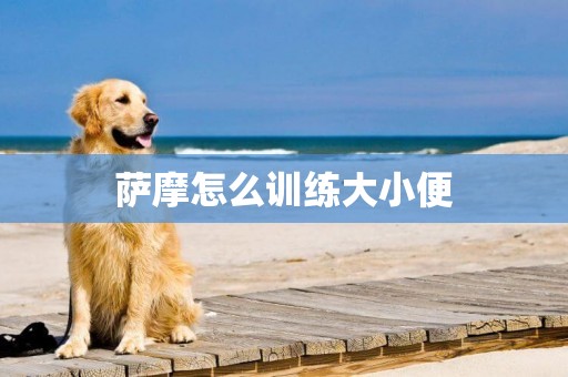 薩摩怎么訓練大小便