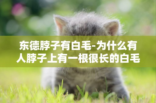東德脖子有白毛-為什么有人脖子上有一根很長的白毛