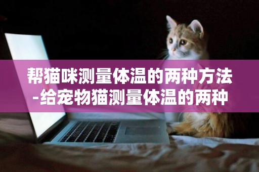 幫貓咪測量體溫的兩種方法-給寵物貓測量體溫的兩種方法
