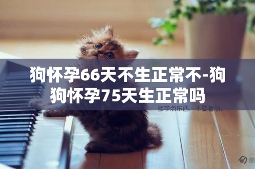 狗懷孕66天不生正常不-狗狗懷孕75天生正常嗎