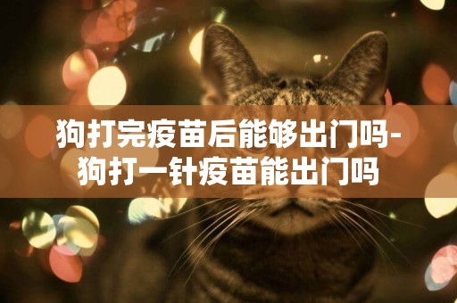狗打完疫苗后能夠出門嗎-狗打一針疫苗能出門嗎
