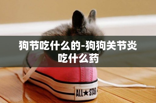 狗節吃什么的-狗狗關節炎吃什么藥